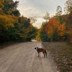 Meet your Posher, Ley